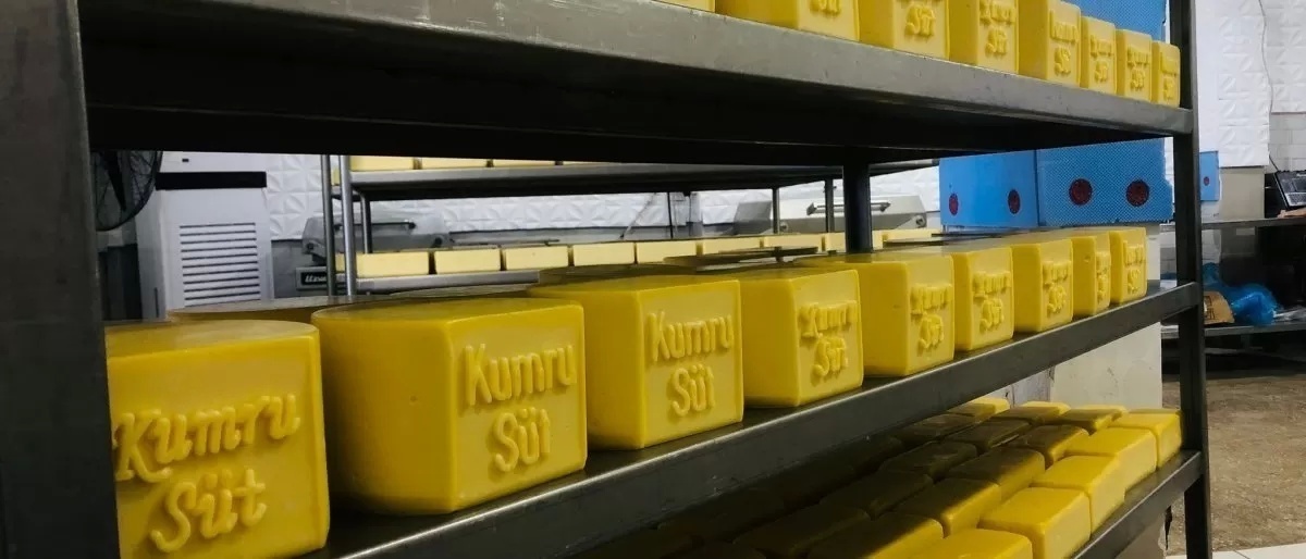 Yalova Kahvaltılarının Vazgeçilmezi: Özel Üretim Kumru Süt Ürünleri Kaşar Peyniri